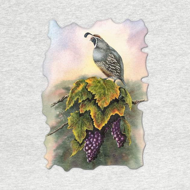 Vineyard Quail by Dave Bartholet Wildlife Art